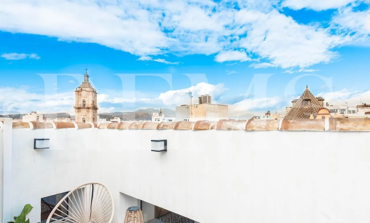 Penthouse With Private Rooftop In The Heart Of Malaga By Rems Apartment